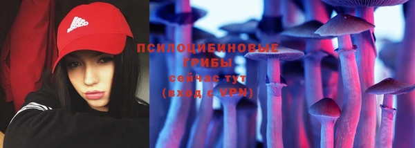apvp Горно-Алтайск