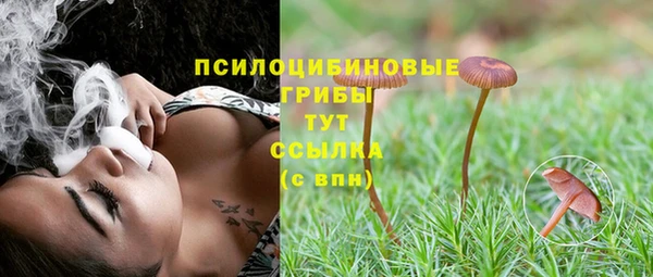 apvp Горно-Алтайск