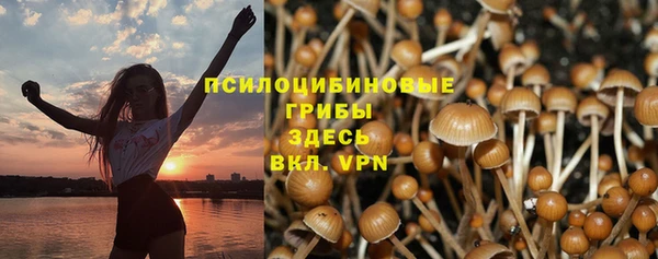 apvp Горно-Алтайск