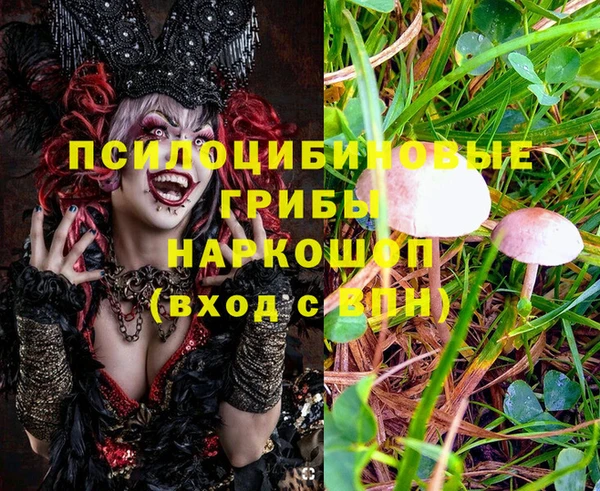 apvp Горно-Алтайск
