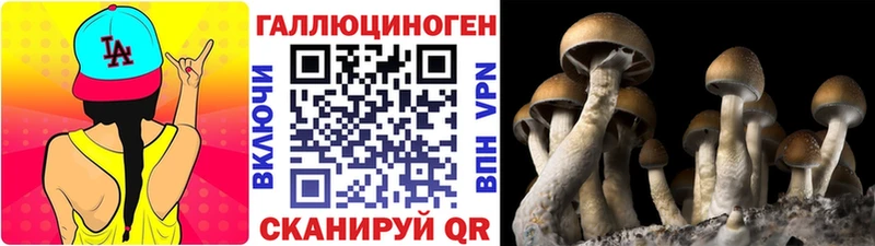 Галлюциногенные грибы Cubensis  kraken онион  Брянск 